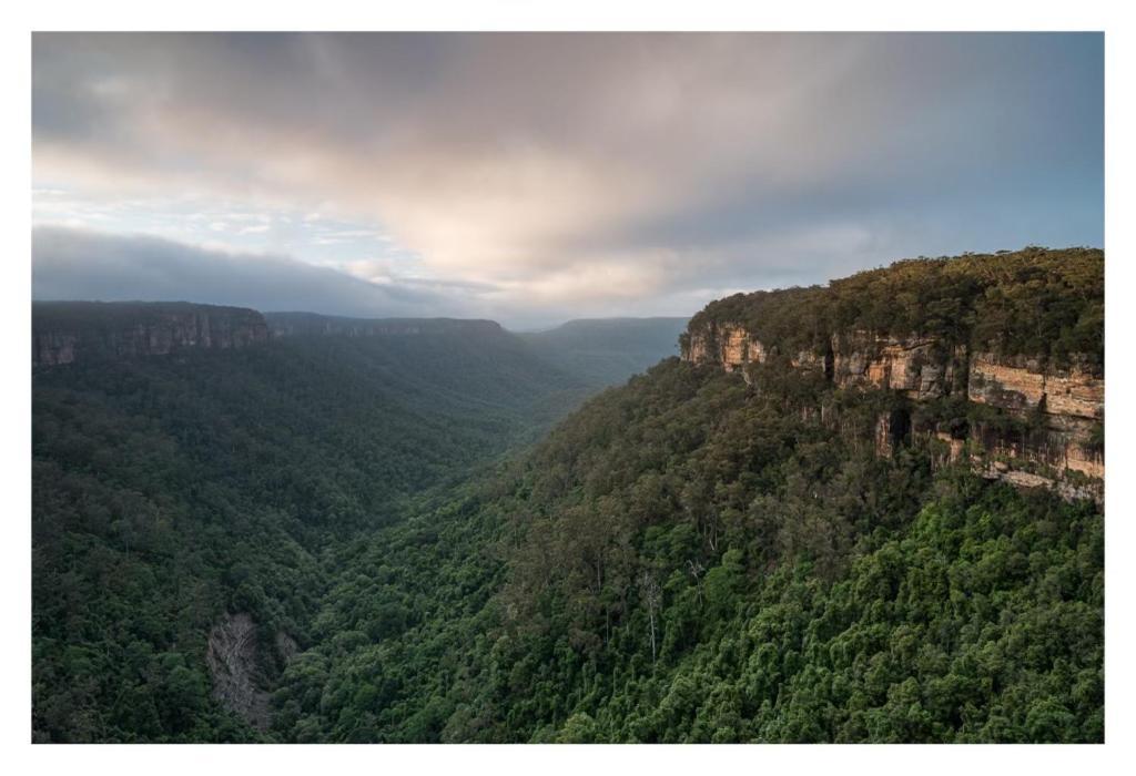 Twin Falls Bush Cottages Fitzroy Falls Exterior photo