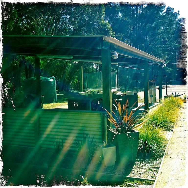 Twin Falls Bush Cottages Fitzroy Falls Room photo