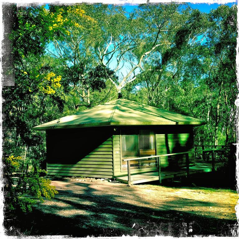 Twin Falls Bush Cottages Fitzroy Falls Room photo