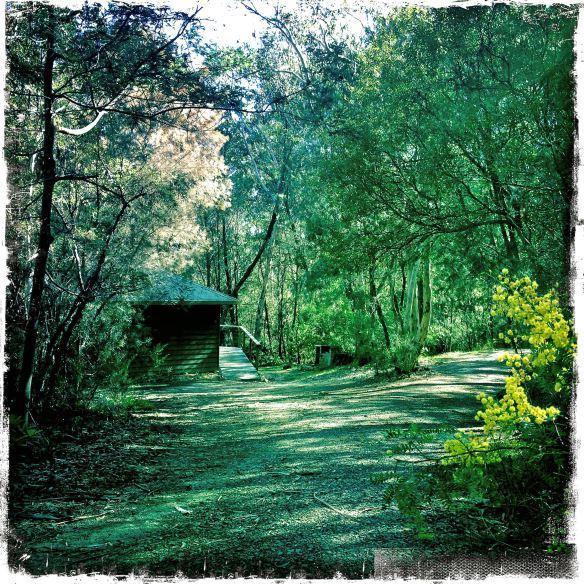 Twin Falls Bush Cottages Fitzroy Falls Room photo